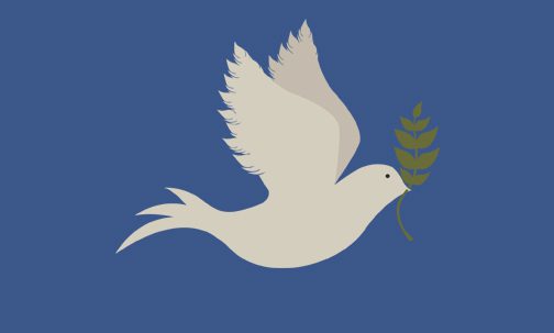 Dove with leaf in beak