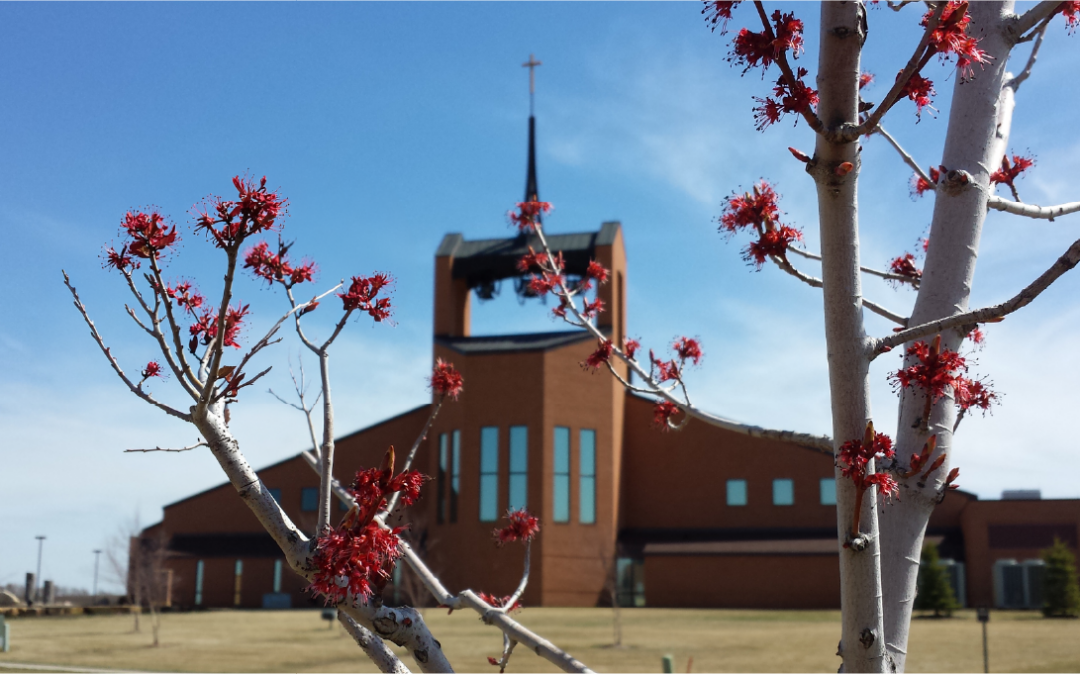 Spring Season For Growth: Planning Your Church Capital Campaign