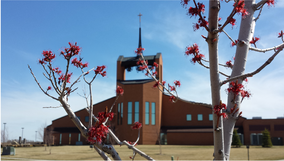 Spring Season For Growth: Planning Your Church Capital Campaign - Walsh ...